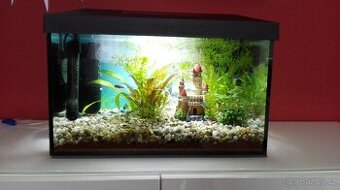 Aqarium, set Leddy 40