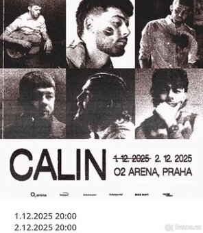 Calin - klubové patro VIP 1.12