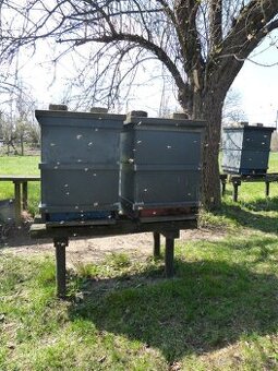 Prodám dvoje včely s kompletními úly, i jednotlivě