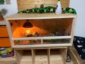 Krajta královská i s teráriem