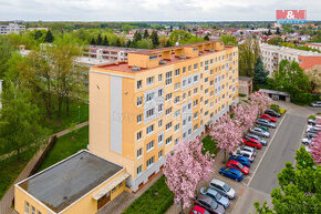 Prodej bytu 4+1, 67 m², Pardubice, ul. Družstevní