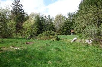 Stavební pozemek 2105m2 s chalupou, stodolou a potůčkem