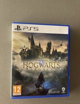 Hogwarts Legacy ps5 playstation Harry Potter