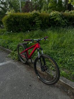 CTM DIRTKING