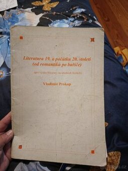 Literatura 19 a počátek 20 století