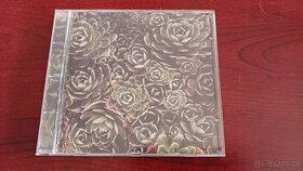 CD Iva Bittová - "Ne nehledej" - 1