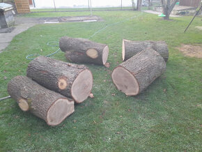 Prodám dubové špalky