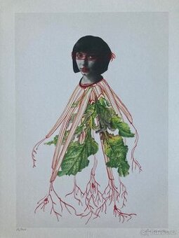 Eva Koťátková - Replanted