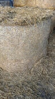 Sláma, kulaté balíky slámy