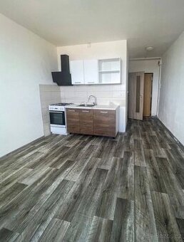 1+1 Krušnohorska Jirkov - 1