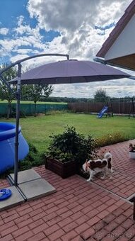 Zahradní slunečník