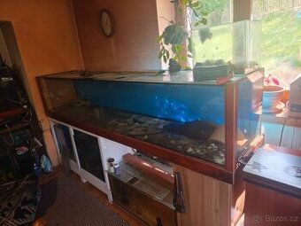 Prodám akvárium 530 litrů