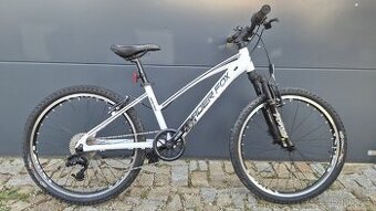 Dívčí kolo leafer fox spider 24