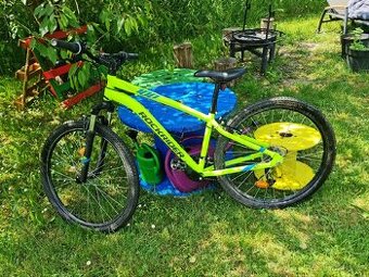Rock Rider 100