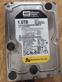 1TB 3,5" HDD WD RE4 WD1003FBYX-01Y7B0