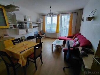 pronájem bytu 2kk od 1.9 do 14.9 a od 30.9  do 20.12