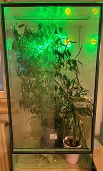 Terarium 50x50x100