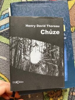 Chůze