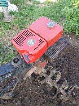 Motor Terra Vari Jikov Gutbrod