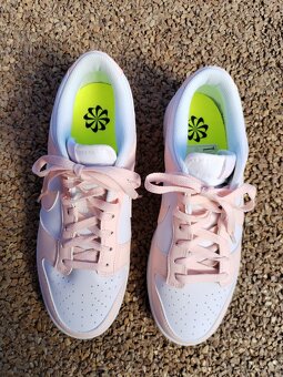 Nike dunk low next nature