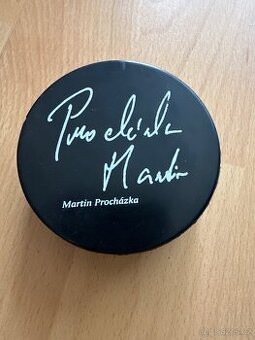Puk Martin Procházka