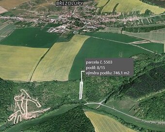 Pole 1 399 m², Podíl 53 % o výměře 746 m²