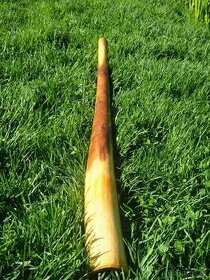 Didgeridoo EUKALYPTUS - NOVE