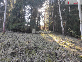 Investiční příležitost - pozemek 4431 m2 v Březové u Karlový