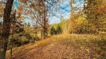 Prodej pozemek Lesy, 10398㎡