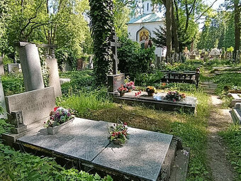 Přenechám pronájem hrobového místa na Olšanských hřbitovech - 1