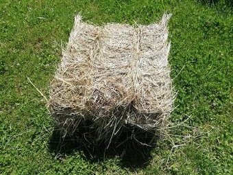 Luční seno