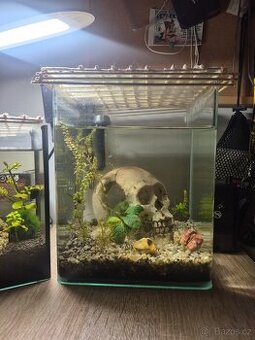 Akvarium