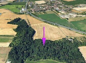 Lesní pozemky Držovice