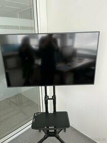 monitor Panasonic TH-50EQ1W, 2 kusy
