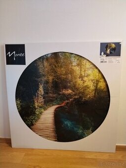 Obraz - skleněný, 70 cm, nový.