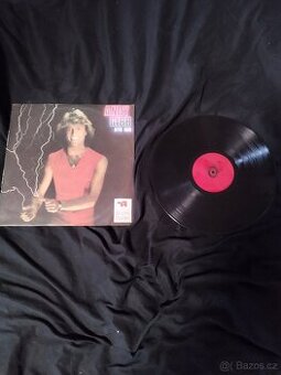 Originál Gramofonové desky ANDY GIBB - after dark