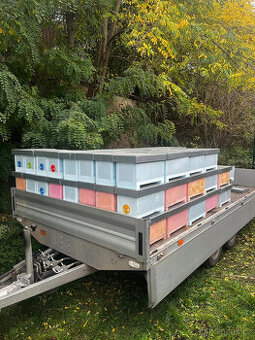 Plemenáče 39x17 4-rámkové