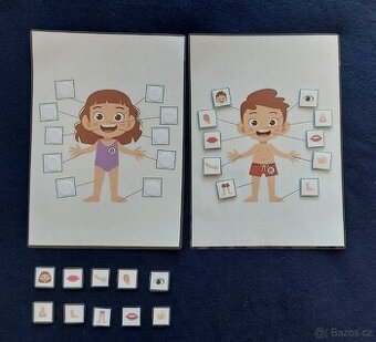 Pracovní list Lidské tělo