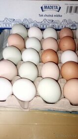 Násadová vejce,nebo možnost kuřátek