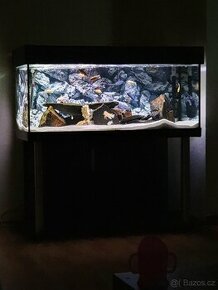 Akvárium 300l