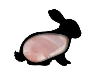 Králičí maso z domácího chovu