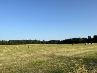 Seno, senaz z loňské sklizně v bio kvalitě