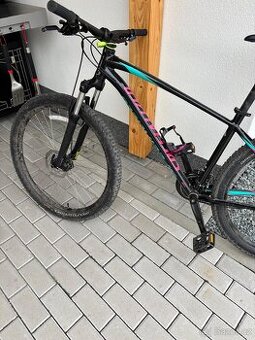 Roske kolo Rockhopper