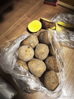 Brambory na uskladnění 550kč 50kg pytel
