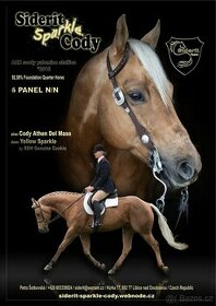 Připouštění QH hřebcem