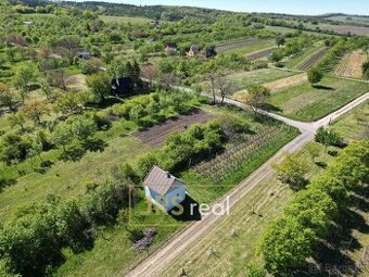 Prodej sadu s vinicí 2 997 m², Hroznová Lhota