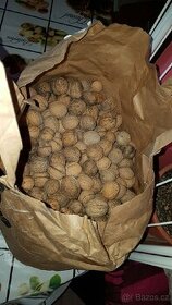 Vlašské ořechy/ 1 kg vyloupané