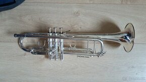 Trumpeta Thoman TR 500 S