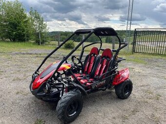 Viper Buggy