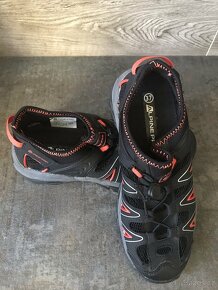 AlpinePro